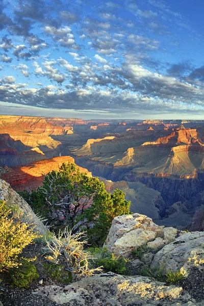Θέα του διάσημου grand canyon — Φωτογραφία Αρχείου