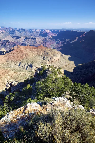 Lodret udsigt til Grand Canyon under sollys - Stock-foto