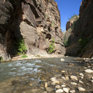 Virgin river Meydanı