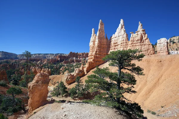 Blick auf berühmten Navajo-Pfad — Stockfoto