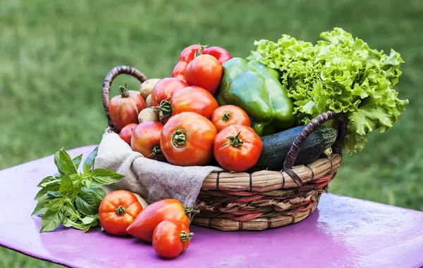 Свіжі овочі на столі в саду — стокове фото
