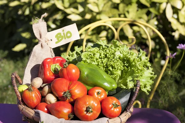 Verduras biológicas frescas —  Fotos de Stock