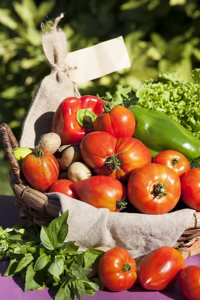 Some fresh bio vegetables — Stock Photo, Image