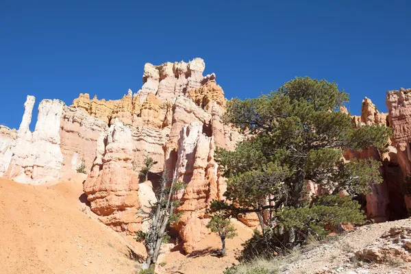 Navajo trail v bryce canyon — Stock fotografie