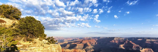 Vista panoramica del Grand Canyon all'alba — Foto Stock