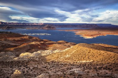 lake powell limanda