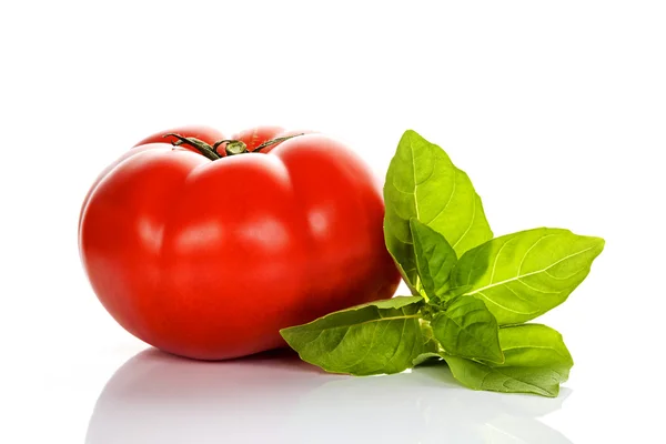 Tomato and basil — Stock Photo, Image