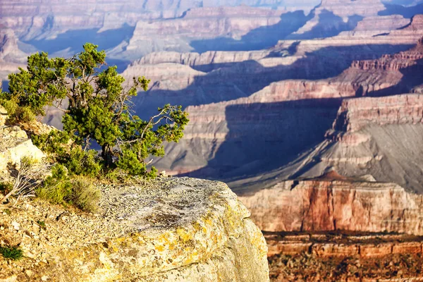 Ünlü grand Canyon yatay görüntüle — Stok fotoğraf