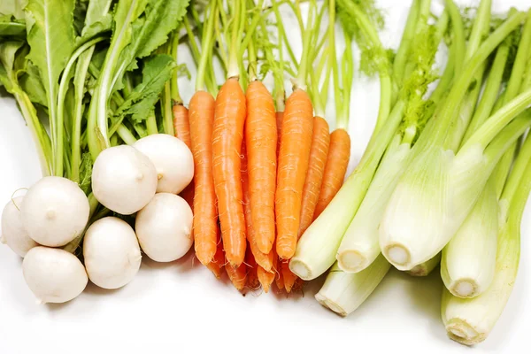 萝卜、 胡萝卜、 芹菜从花园 — 图库照片