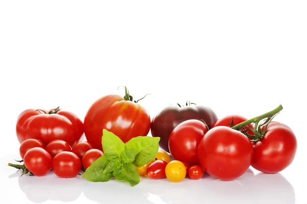 Tomatoes with basil isolated on white background — Stock Photo, Image