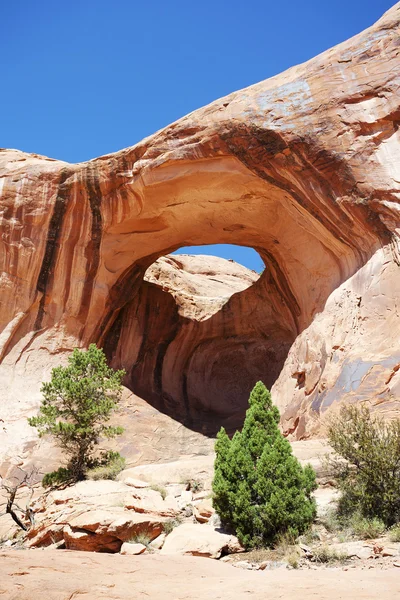 Famoso arco del papillon — Foto Stock