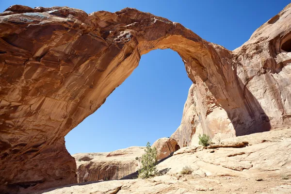 Famous Corona Arch in Southern Utah — Stock Photo, Image