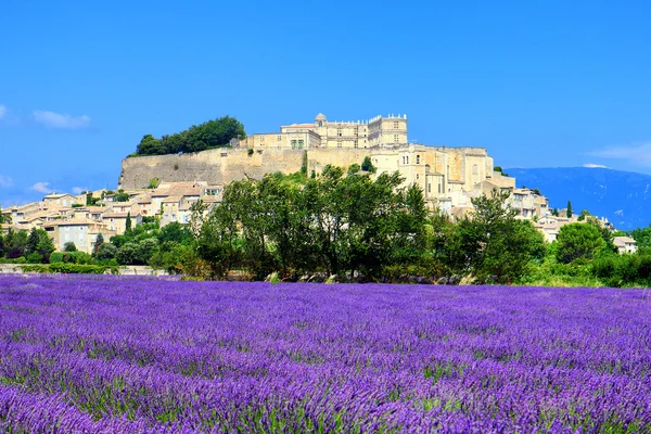 Lavender field and old town of Grignan — Stock Photo, Image