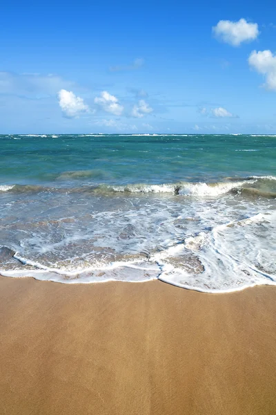 Beach and tropical sea — Stock Photo, Image