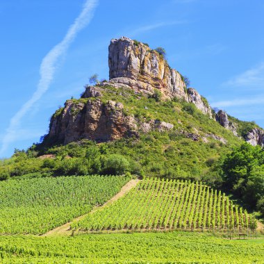 Burgundy üzüm bağları ile solutre rock