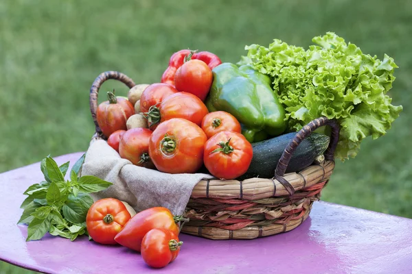 Grönsaker på ett bord — Stockfoto