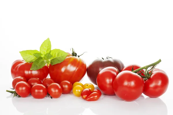 Tomatoes and basil isolated on white. — Stock Photo, Image