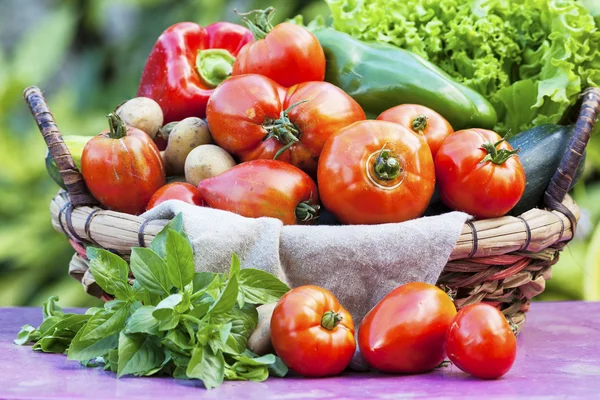 Produtos hortícolas — Fotografia de Stock