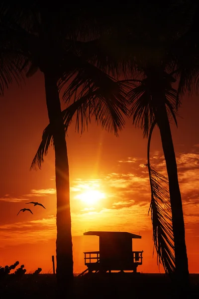 Miami südstrand sonnenaufgang mit schwimmturm — Stockfoto