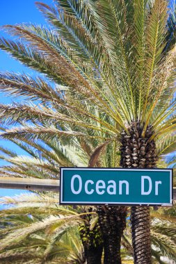 ünlü sokak ocean drive