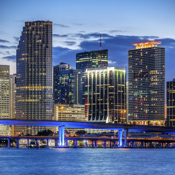 Şehir miami, florida, ışıklı iş ve konut boğa