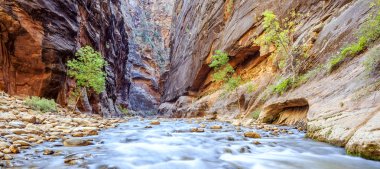 virgin river ikonik bend