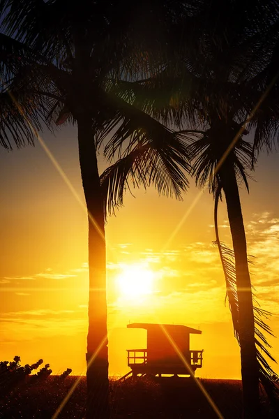 Miami südstrand sonnenaufgang — Stockfoto