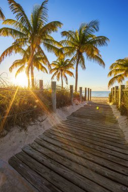 Passage to the beach at sunrise clipart
