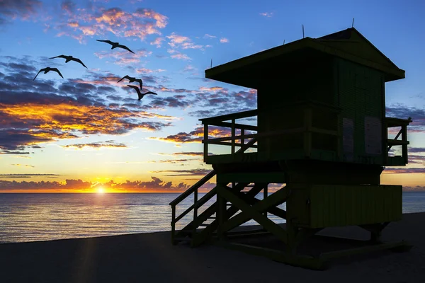 Torre de salvavidas al amanecer Imágenes De Stock Sin Royalties Gratis