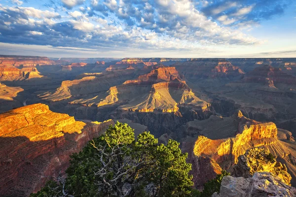 Vista della luce del mattino al Grand Canyon Immagine Stock