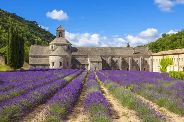 Abbey of Senanque — Stock Photo, Image