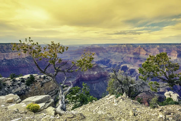 Morgonljuset på grand canyon — Stockfoto