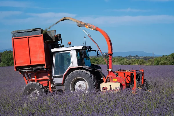 Traktor Betakarítás Levendula Területen Valensole Franciaország — Stock Fotó