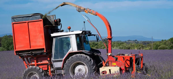 Traktor Betakarítás Levendula Területen Valensole Franciaország — Stock Fotó
