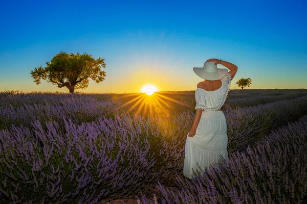 Krásná Žena Levandulovém Poli Při Západu Slunce Valensole Francie — Stock fotografie
