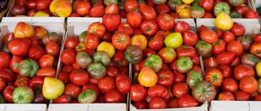 Tomatoes stall in the market of Sanary-sur-mer, France