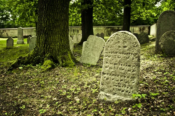 Cementerio judío —  Fotos de Stock