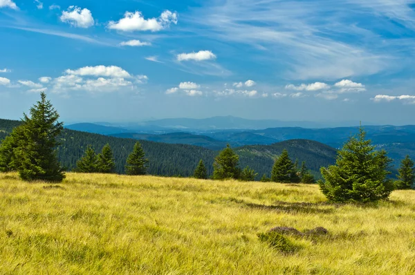 Sommer — Stockfoto