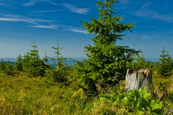 Paesaggio montano — Foto Stock