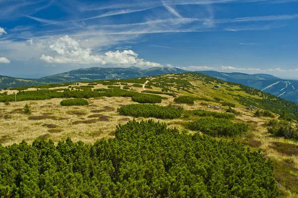 Schöne Landschaft — Stockfoto