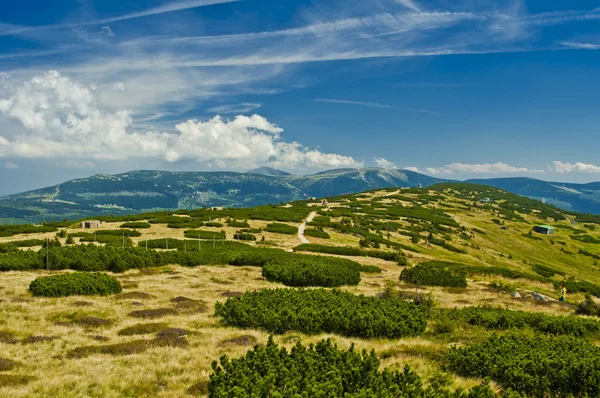 Giorno estivo — Foto Stock