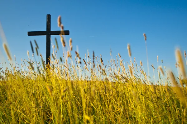 Cross on meadow — Stock Photo, Image