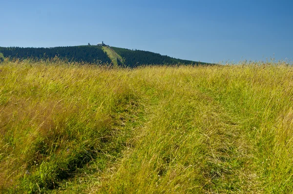 Landskap — Stockfoto