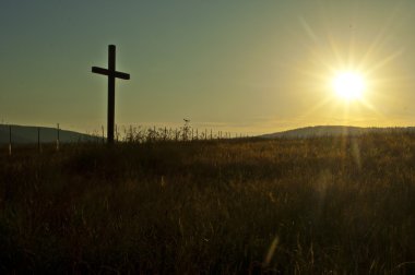 çayır üzerinde çapraz
