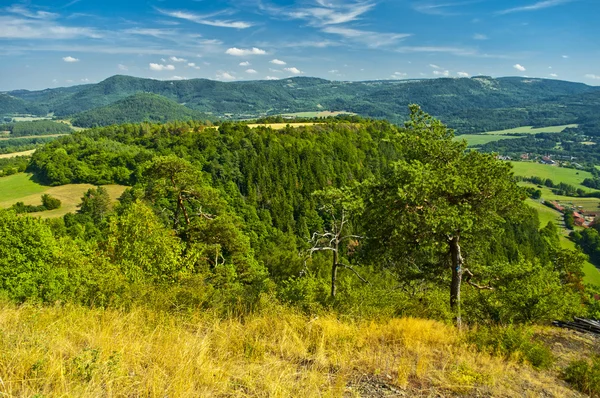 Landschaft — Stockfoto