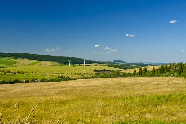 Nature — Stock Photo, Image