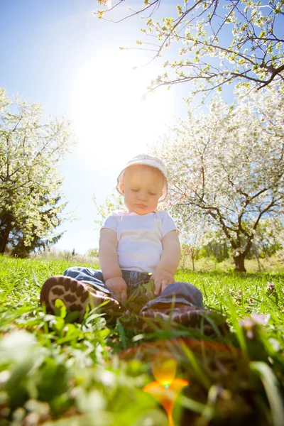 De lachende jongen zit op een gras onder zon balken — Stockfoto