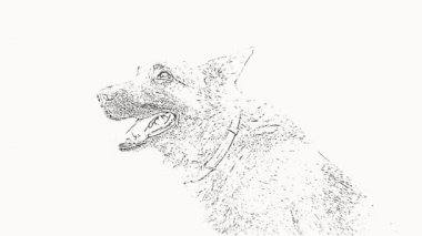 Botosh - Ev Bekçisi (dişli portre - profil