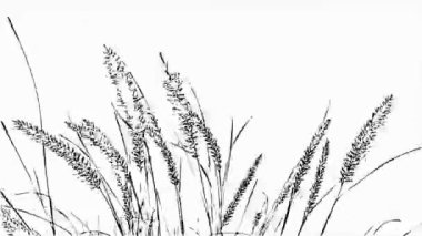 Rüzgardaki tanecikler