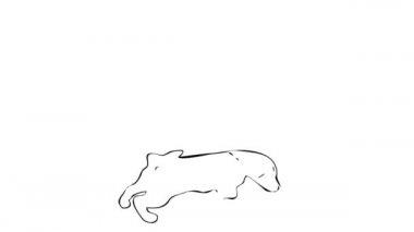 Çevre koruma köpeği skeci. Köpek koşuyor ve kokuyor. Çevre muhafızı. Etrafımdaki her şey beyaz. O zaman ne kokuyor??